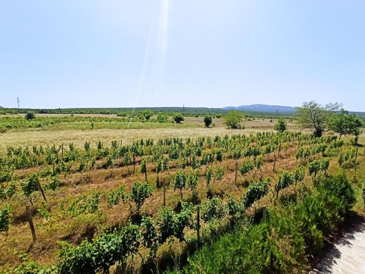 Chateau Tetri Bairagebi White Flags Kisiskhevi 외부 사진