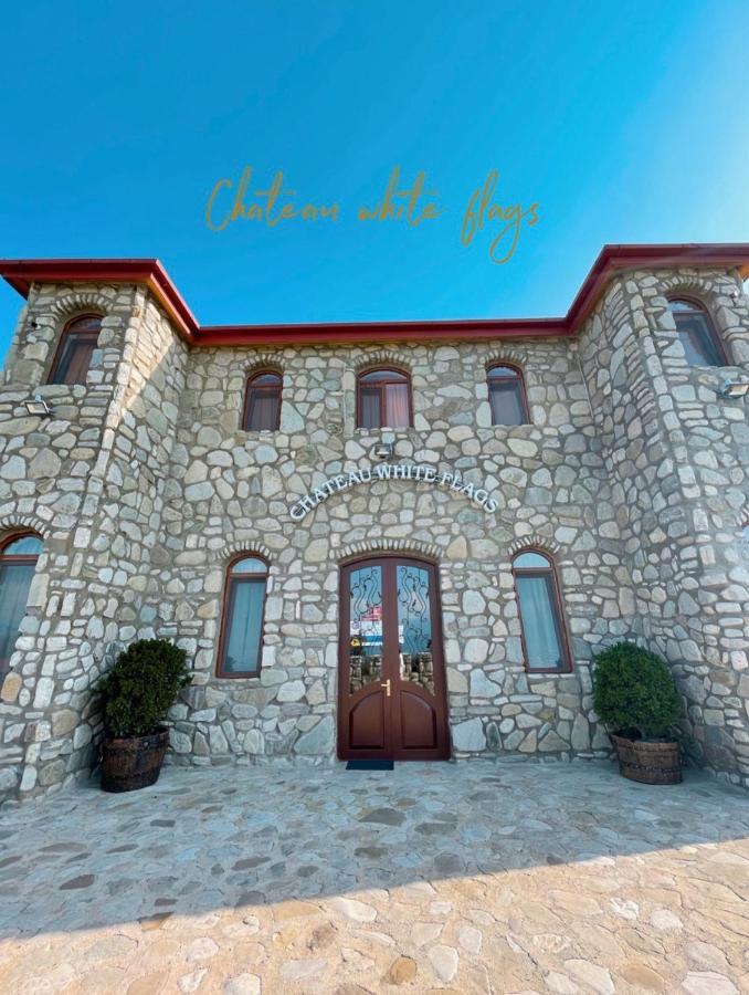 Chateau Tetri Bairagebi White Flags Kisiskhevi 외부 사진
