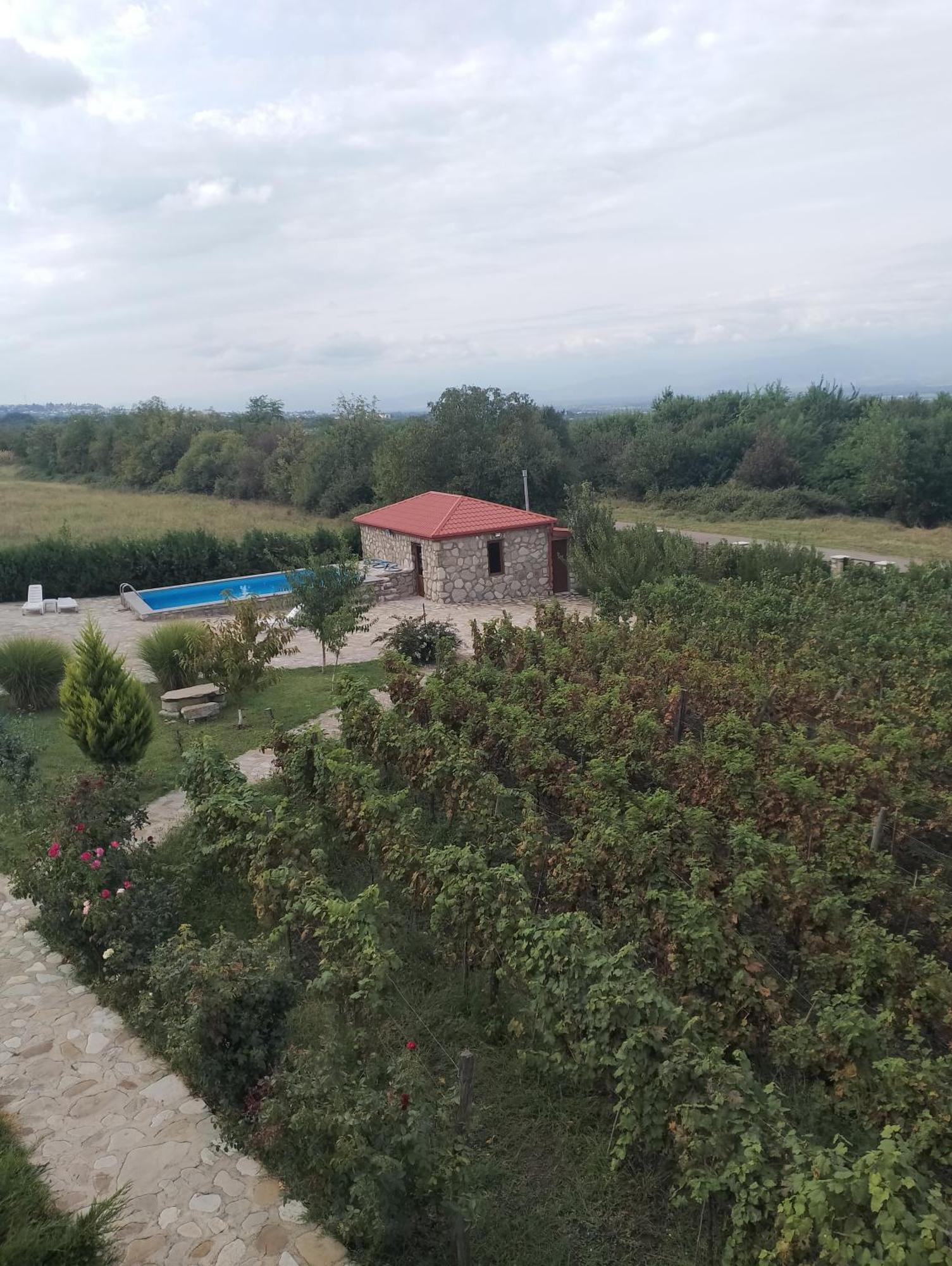 Chateau Tetri Bairagebi White Flags Kisiskhevi 외부 사진